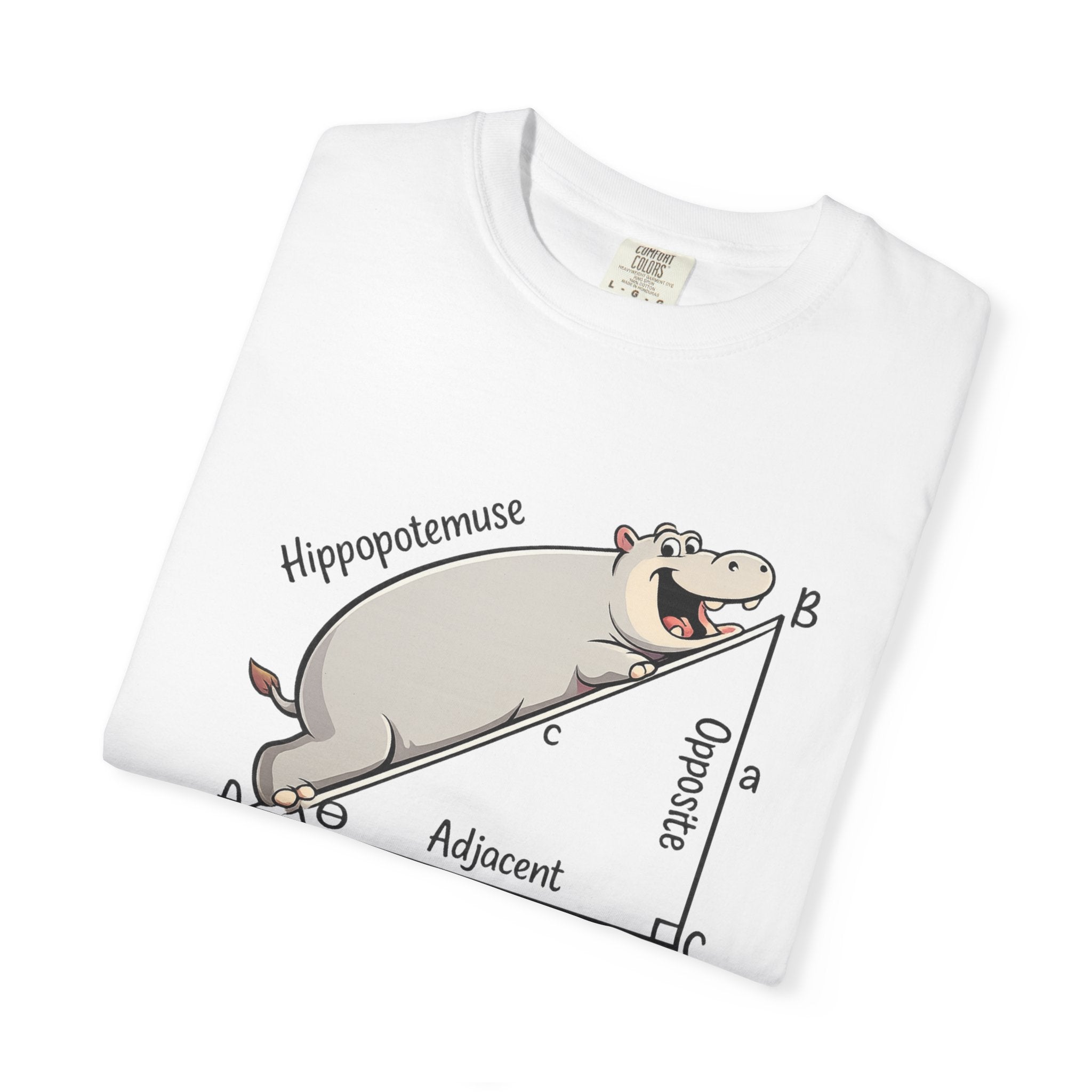 Pythagoras Theorem Witty T-shirt, math lovers, teachers, students, clever geometric joke.