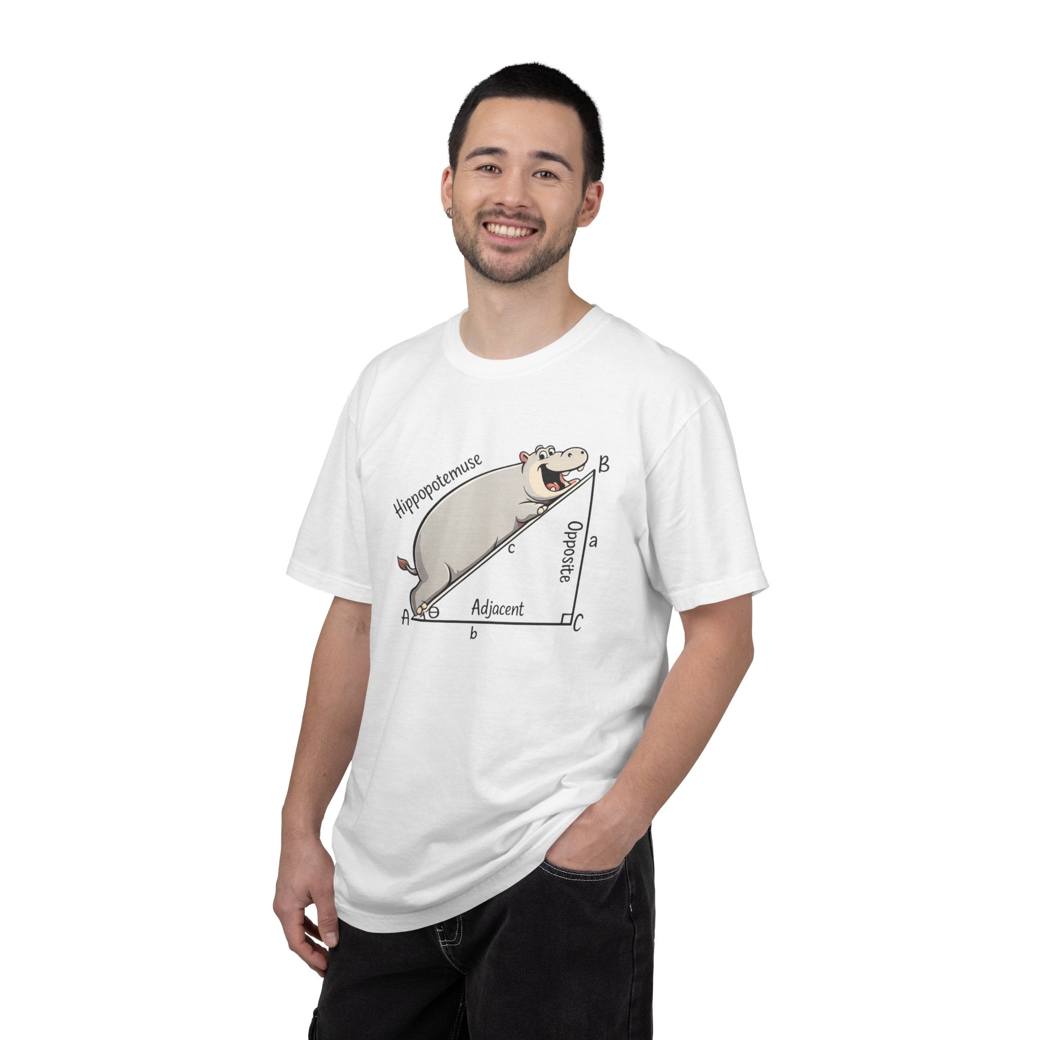 Pythagoras Theorem Witty T-shirt, math lovers, teachers, students, clever geometric joke.