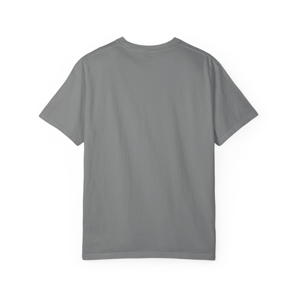 Flaps down. Geek out. | Aviation Enthusiast T-Shirt for Avgeeks