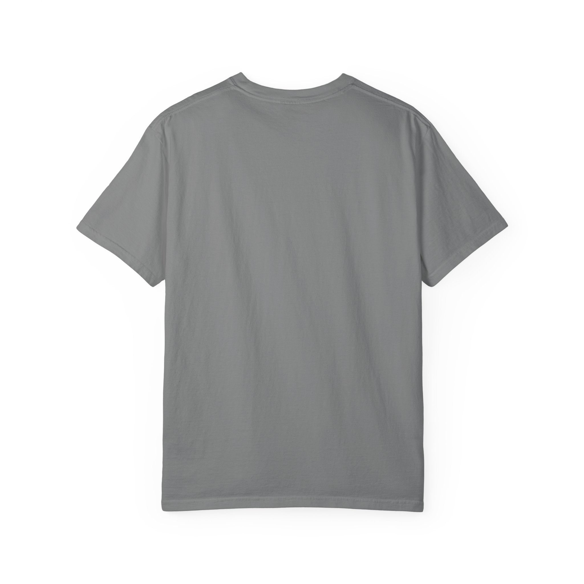 Flaps down. Geek out. | Aviation Enthusiast T-Shirt for Avgeeks