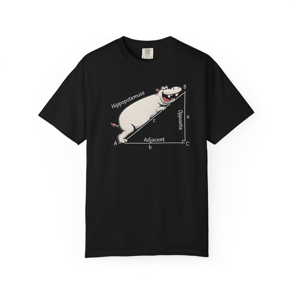 Pythagoras Theorem Witty T-shirt, math lovers, teachers, students, clever geometric joke.
