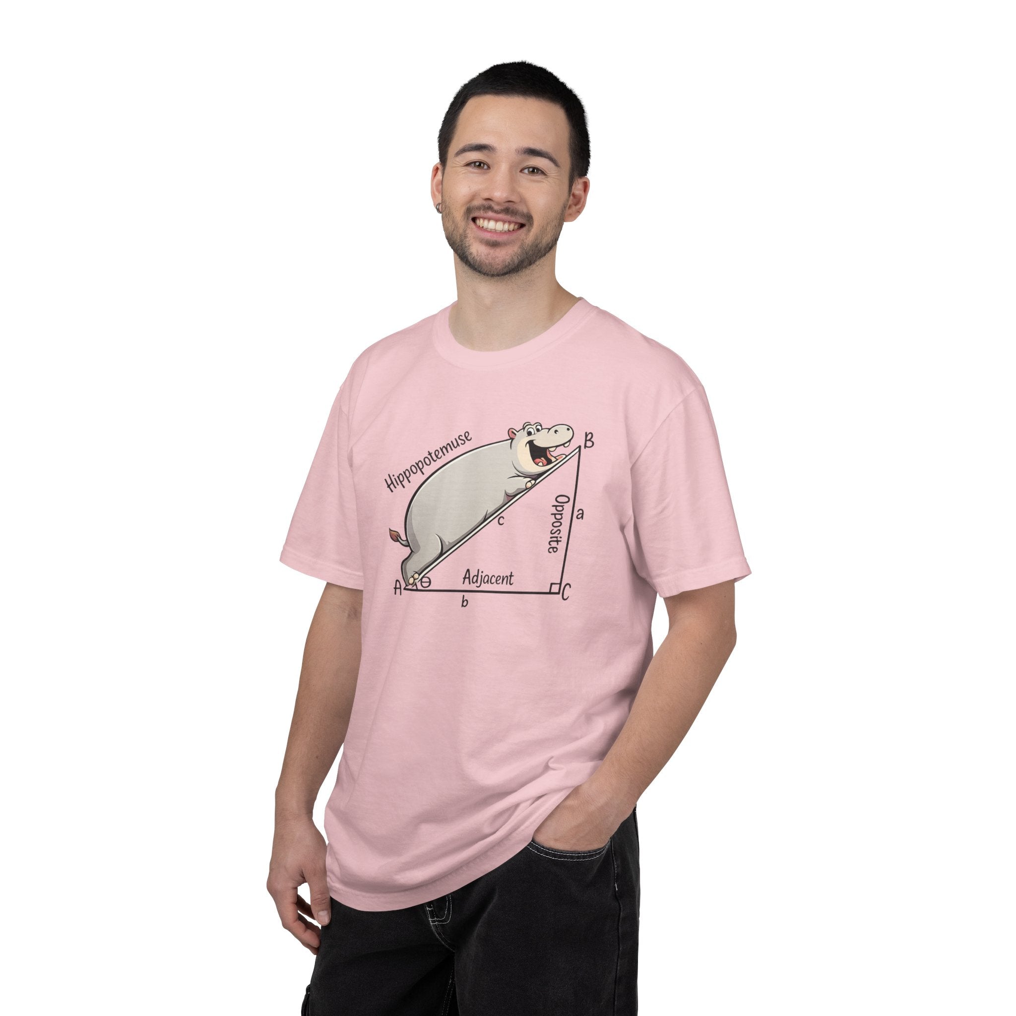 Pythagoras Theorem Witty T-shirt, math lovers, teachers, students, clever geometric joke.