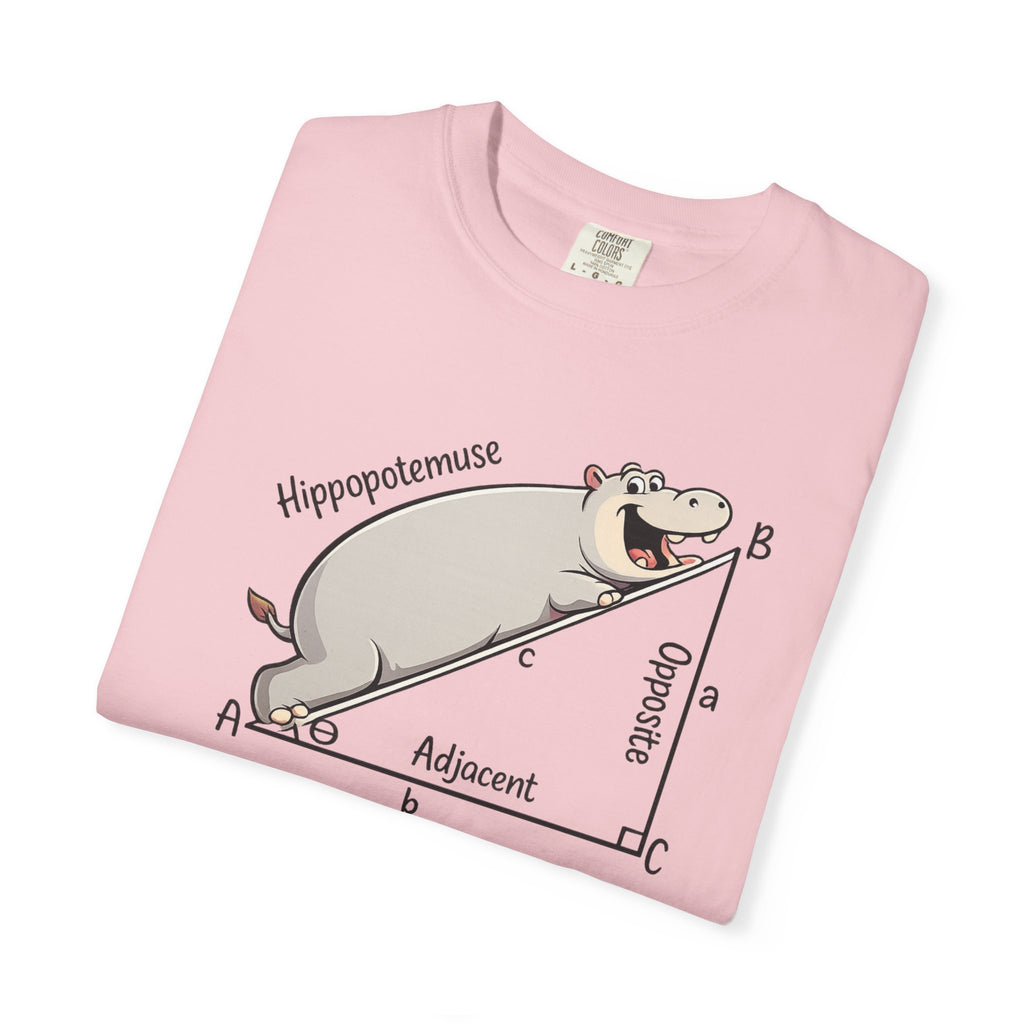 Pythagoras Theorem Witty T-shirt, math lovers, teachers, students, clever geometric joke.