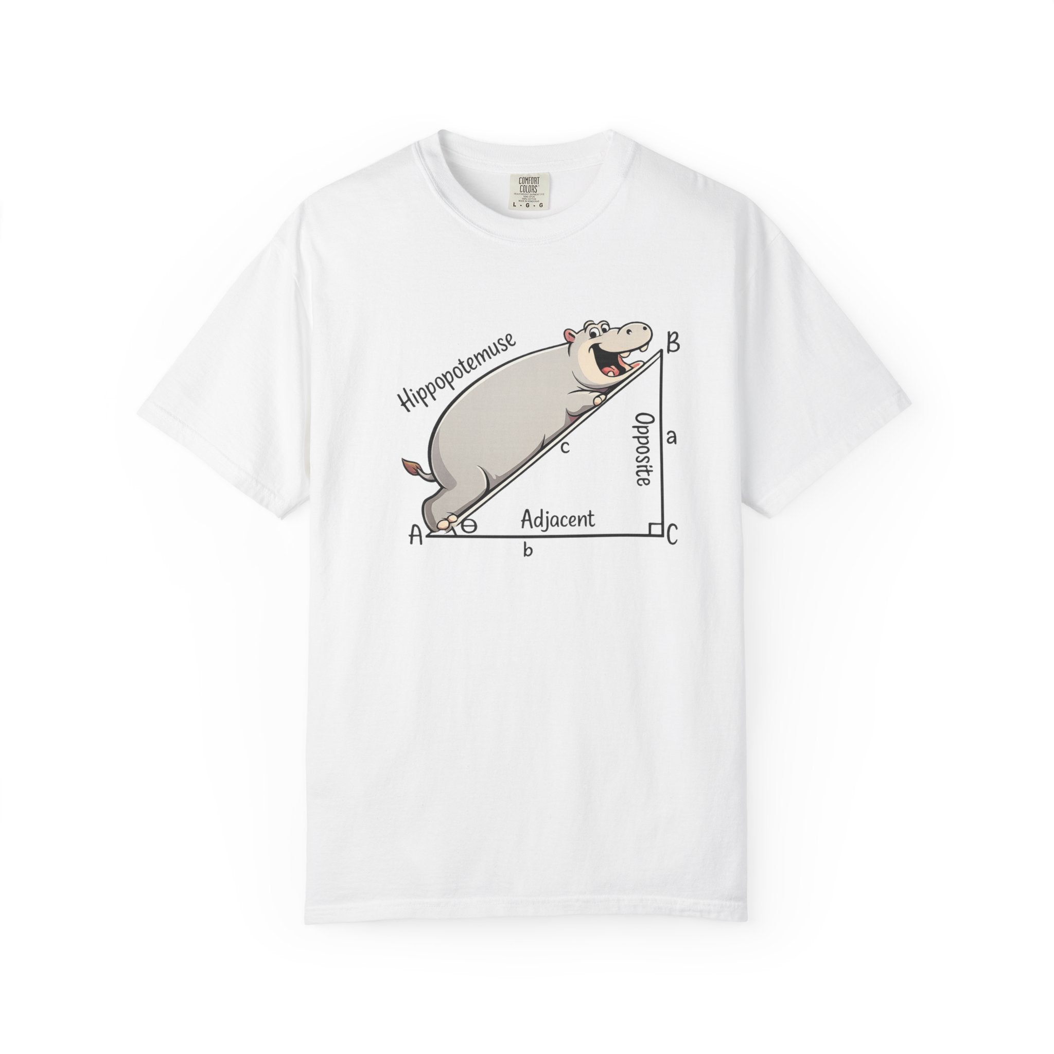 Pythagoras Theorem Witty T-shirt, math lovers, teachers, students, clever geometric joke.