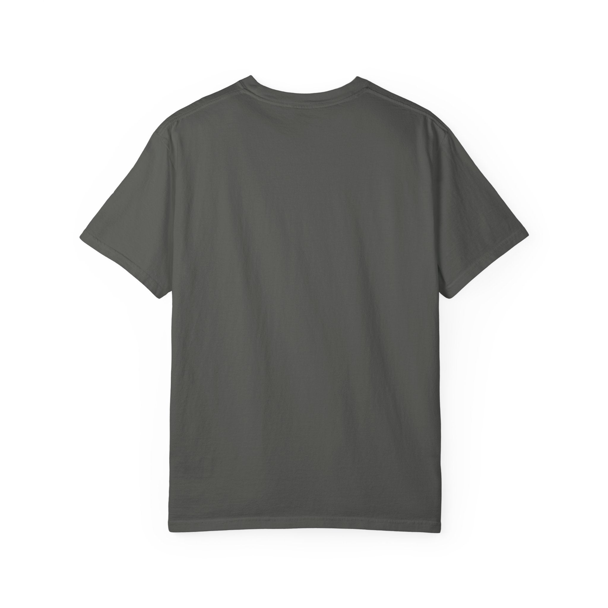 Flaps down. Geek out. | Aviation Enthusiast T-Shirt for Avgeeks