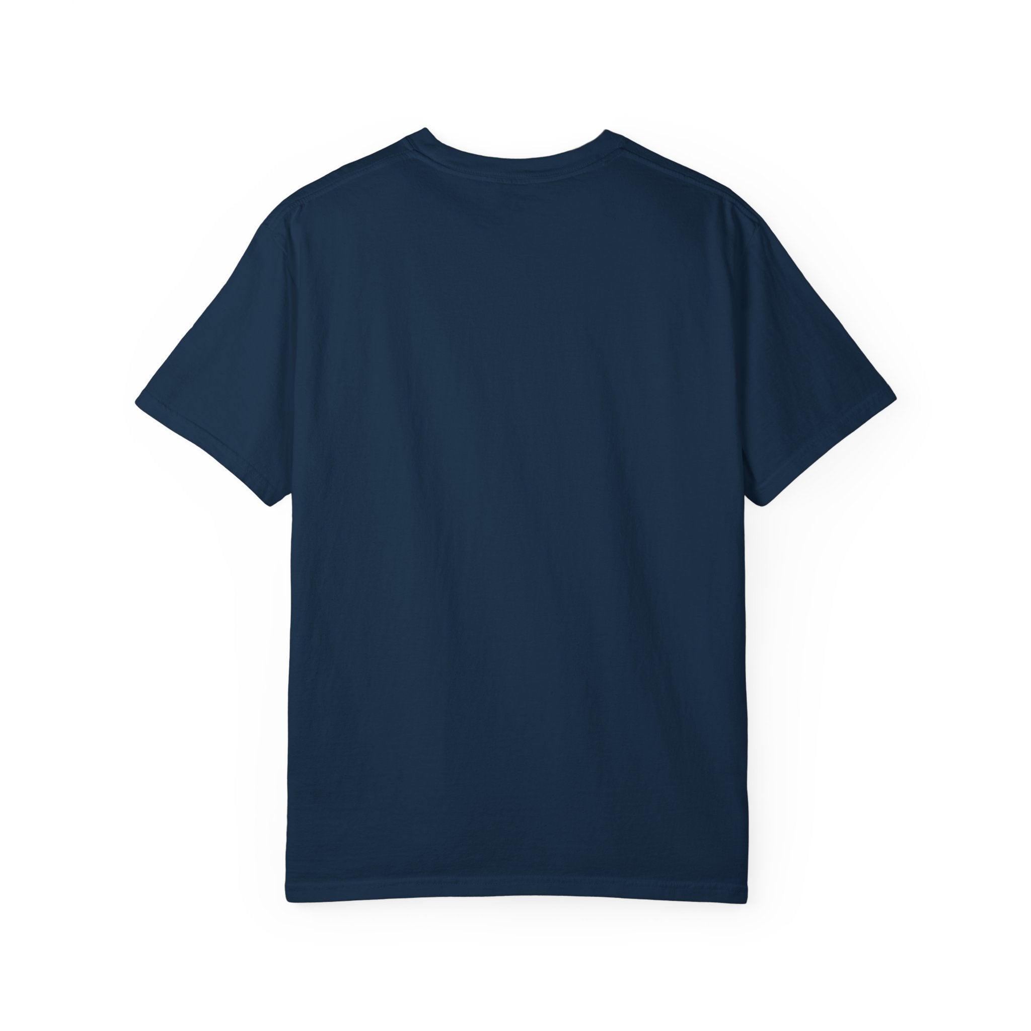 Flaps down. Geek out. | Aviation Enthusiast T-Shirt for Avgeeks
