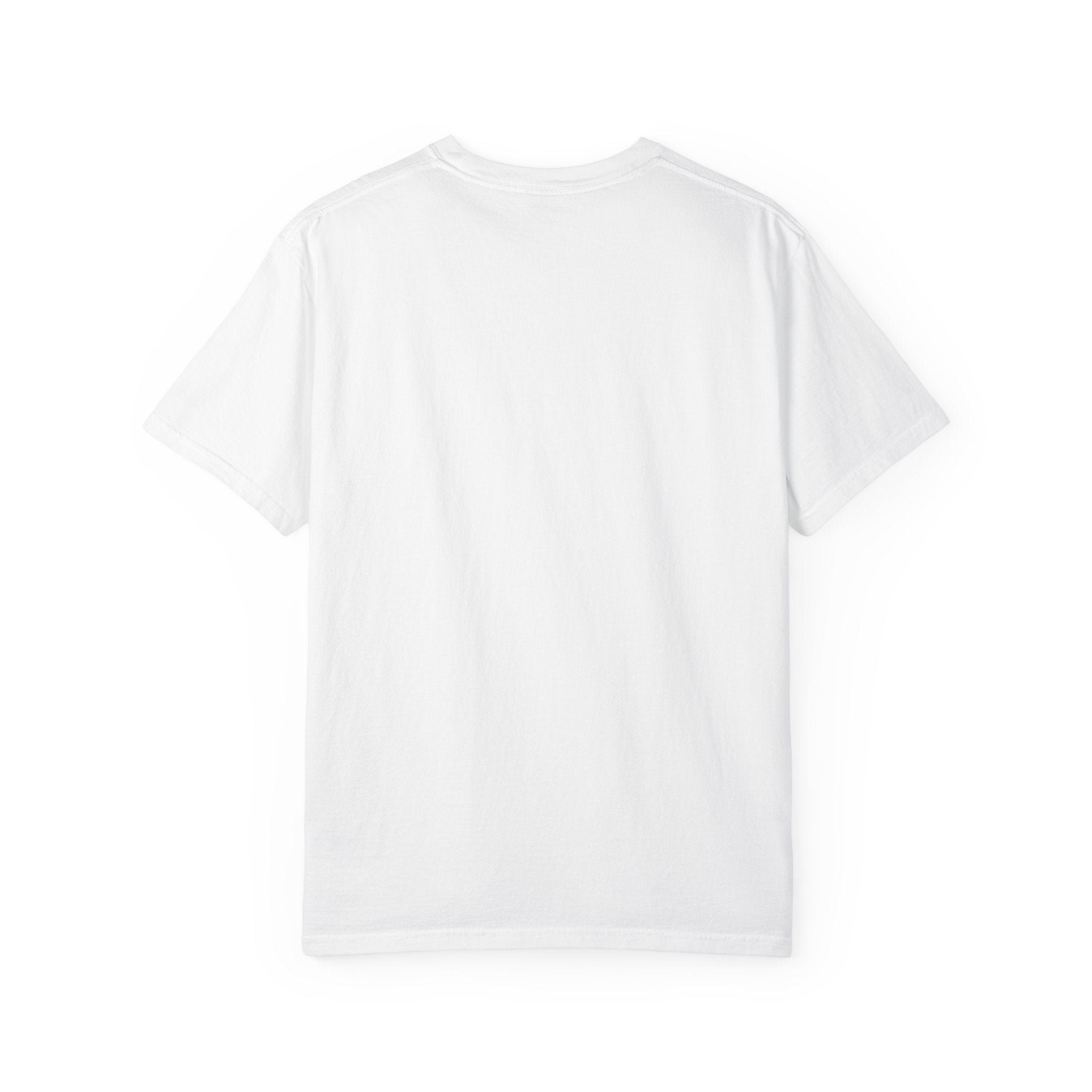 Flaps down. Geek out. | Aviation Enthusiast T-Shirt for Avgeeks