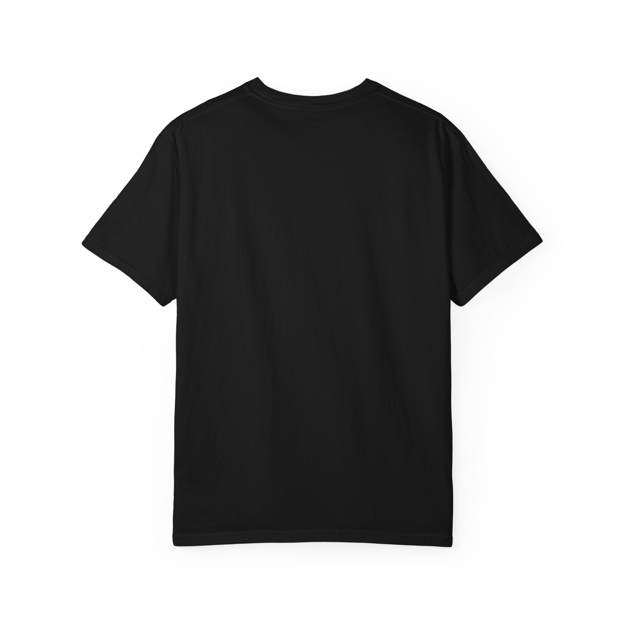 Flaps down. Geek out. | Aviation Enthusiast T-Shirt for Avgeeks